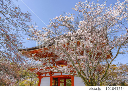 瀧山寺(岡崎市)三門 瀧山寺(岡崎市)三門 101843254