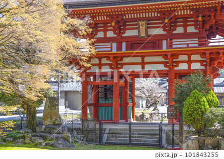 瀧山寺（岡崎市）三門 101843255