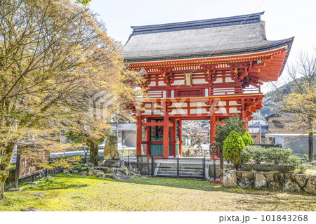 瀧山寺（岡崎市）三門 101843268