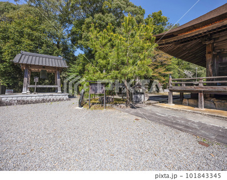 瀧山寺(岡崎市)境内 瀧山寺(岡崎市)境内 101843345