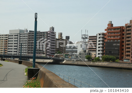 鶴見川沿いを歩いた 101843410