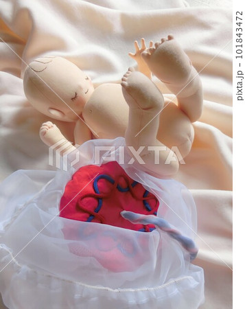 生まれるとき、お母さんも頑張る、赤ちゃんも頑張る 101843472
