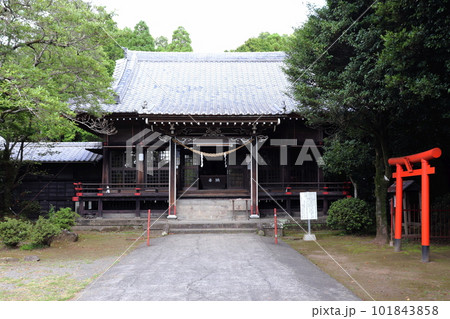 鹿児島市 谷山神社の本殿 鹿児島市 谷山神社の本殿 101843858
