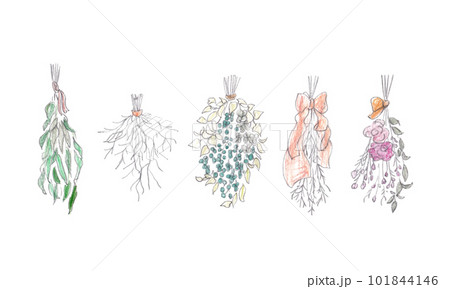 色鉛筆イラスト。手書きの花束ベクターイラスト。 101844146