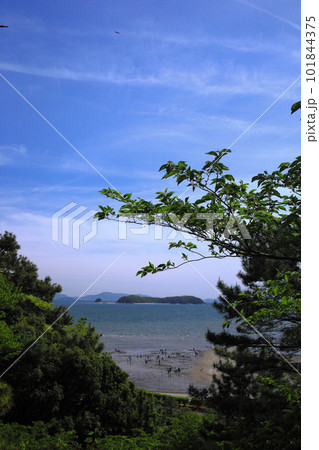 三河大島遠景 101844375