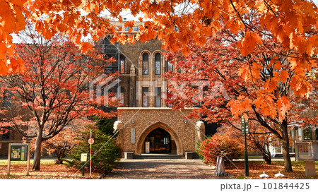 北海道大学　総合博物館（旧理学部本館） 101844425