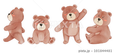 Bear . Watercolor painting design . Set of cute animal cartoon character . Vector . 101844481