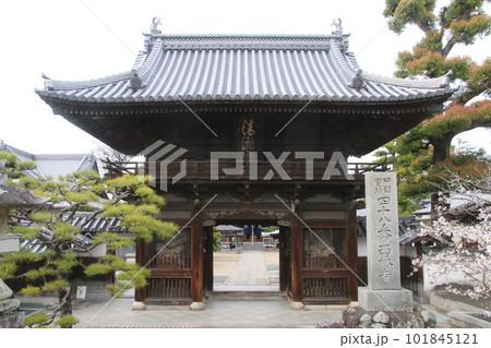 西林寺・第48番札所(愛媛県・四国遍路) 西林寺・第48番札所(愛媛県・四国遍路) 101845121