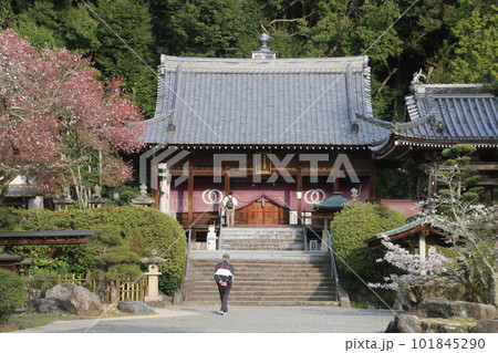 繁多寺・第50番札所(愛媛県・四国遍路) 繁多寺・第50番札所(愛媛県・四国遍路) 101845290