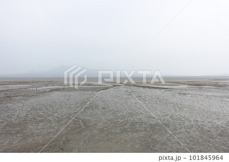 干潟の風景　 101845964