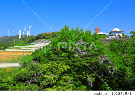 【愛媛県】道の駅 伊方きらら館と四国電力伊方ビジターズハウスと風車（佐田岬半島） 101845971