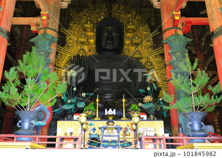 【奈良県】奈良の大仏（東大寺） 101845982