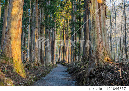 戸隠神社五社 戸隠神社五社 101846257