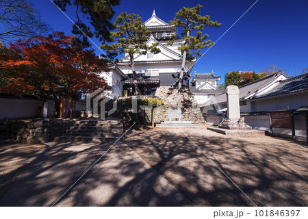 紅葉の岡崎公園の岡崎城 紅葉の岡崎公園の岡崎城 101846397