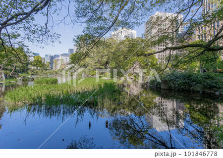 日比谷公園の庭園 101846778