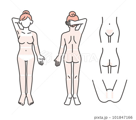 女性の脱毛部位パーツの説明図のベクターイラスト素材／VIO／エステ 101847166