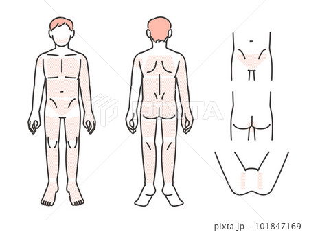 男性の脱毛部位パーツの説明図のベクターイラスト素材/髭/エステ 男性の脱毛部位パーツの説明図のベクターイラスト素材/髭/エステ 101847169