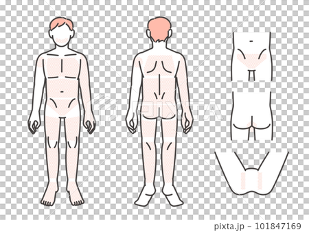 男性の脱毛部位パーツの説明図のベクターイラスト素材/髭/エステ 男性の脱毛部位パーツの説明図のベクターイラスト素材/髭/エステ 101847169