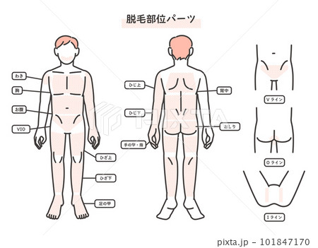 男性の脱毛部位パーツの説明図のベクターイラスト素材/髭/エステ 男性の脱毛部位パーツの説明図のベクターイラスト素材/髭/エステ 101847170