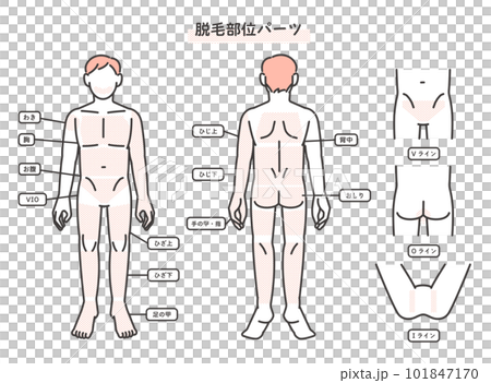 男性の脱毛部位パーツの説明図のベクターイラスト素材/髭/エステ 男性の脱毛部位パーツの説明図のベクターイラスト素材/髭/エステ 101847170