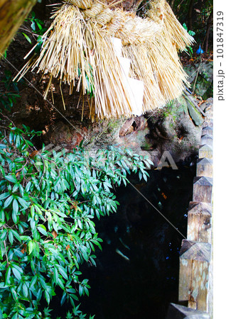 宮崎県高千穂、木の根元から湧いている湧き水「天真名井(あまのまない)」_3 宮崎県高千穂、木の根元から湧いている湧き水「天真名井(あまのまない)」_3 101847319