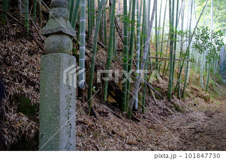 竹と高野参詣道・町石道・石柱（和歌山県・高野山）2 101847730
