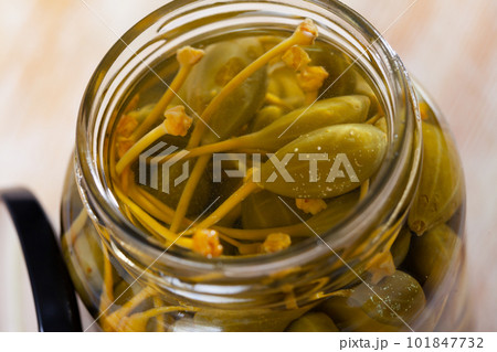 Glass jar with pickled green capers Glass jar with pickled green capers 101847732