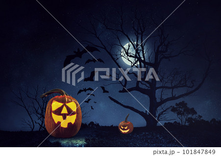 Halloween design with pumpkins . Mixed media Halloween design with pumpkins . Mixed media 101847849