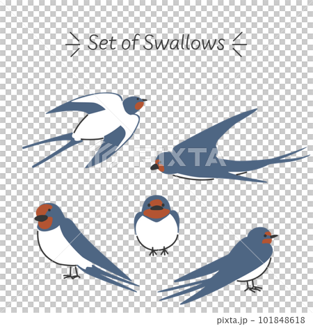 燕插圖集 101848618