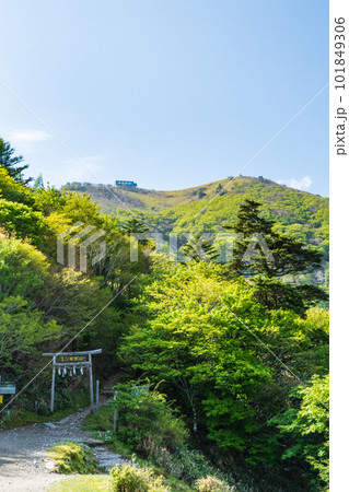 春の剣山登山(剣山登山リフト・西島駅から剣山山頂を望む) 春の剣山登山(剣山登山リフト・西島駅から剣山山頂を望む) 101849306