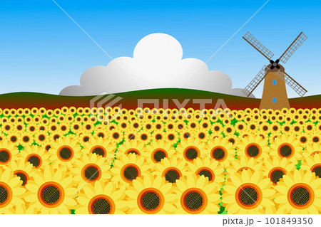 ヒマワリと風車小屋 101849350