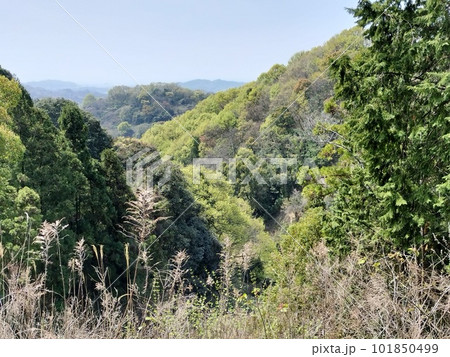 緑の山の上から見た空と谷の風景 緑の山の上から見た空と谷の風景 101850499