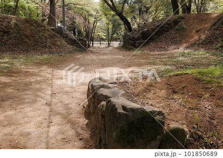 武田氏館跡・西曲輪北側枡形虎口 101850689