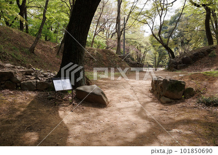 武田氏館跡・西曲輪北側枡形虎口 101850690