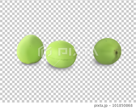 梅果 梅果 101850868