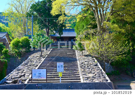 常高寺　山門　石階段　小浜市 101852019