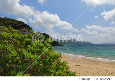 加計呂麻島於斉のターコイズブルーの美しい海の風景 101852591