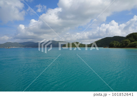 加計呂麻島生間港のターコイズブルーの美しい海の景色 101852641