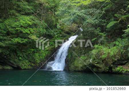 新緑に包まれた奄美大島マテリヤの滝の美しい景色 新緑に包まれた奄美大島マテリヤの滝の美しい景色 101852660
