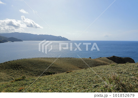 奄美大島宮古崎の先端の草に覆われた岬の景色 101852679