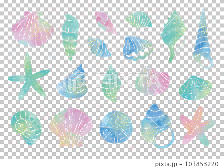貝殼和海星/水彩風格的手繪矢量插圖，閃閃發光 101853220