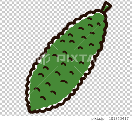 cute hand drawn bitter gourd cute hand drawn bitter gourd 101853417