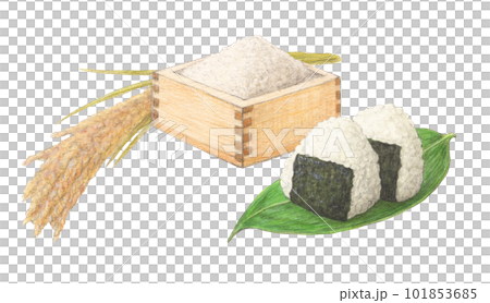 Rice set watercolor pencil analog illustration Rice set watercolor pencil analog illustration 101853685