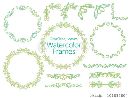 オリーブの実と葉を使ったフレーム、飾り、コーナーのセット。水彩風、ベクター素材。 101853804