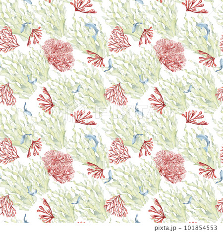 Seamless pattern of laminaria and coral watercolor isolated on white background. Pink agar agar, sea plants and fish hand drawn. Design element for package, textile, paper, wrapping, marine collection Seamless pattern of laminaria and coral watercolor isolated on white background. Pink agar agar, sea plants and fish hand drawn. Design element for package, textile, paper, wrapping, marine collection 101854553