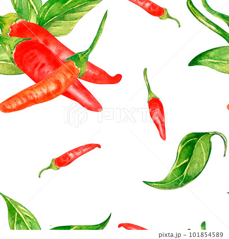 Tabasco hot pepper and leaves watercolor seamless pattern isolated on white. 101854589