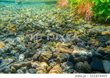 【夏素材】水辺と水中素材【長野県】 101854805