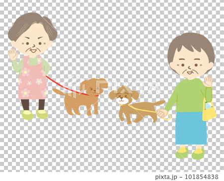 A senior woman waving to a neighbor while walking her small pet dog (3) 101854838