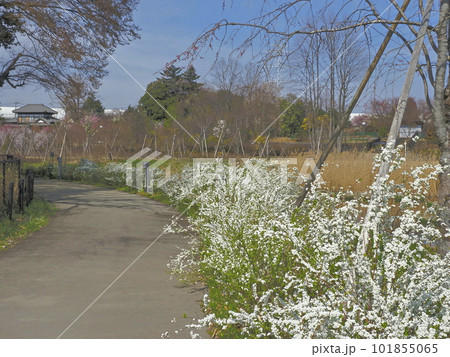 イイナパーク川口 イイナパーク川口 101855065