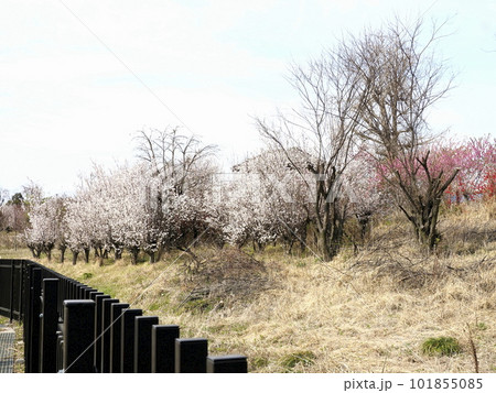 イイナパーク川口 イイナパーク川口 101855085